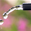 Picture of 2 GPH PC Drip -Qty 15