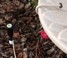 Picture of Bird Bath Dripper Kit